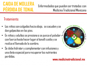 Mollera3_MedicinaTradicional